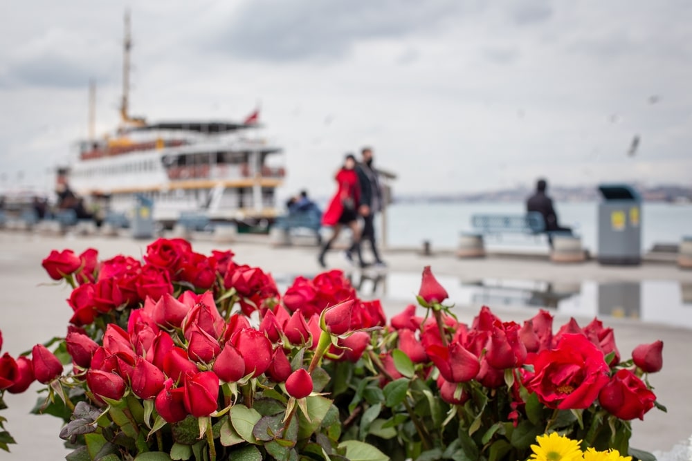 Valentine's Day in Istanbul