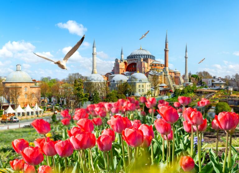 Istanbul Tulip Festival