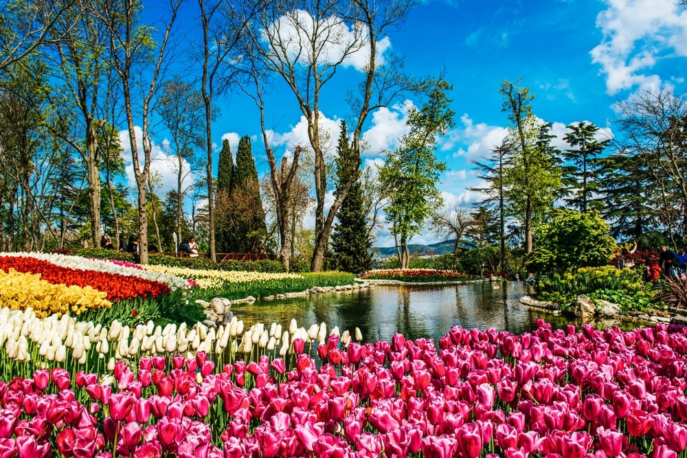 Istanbul's Parks and Gardens