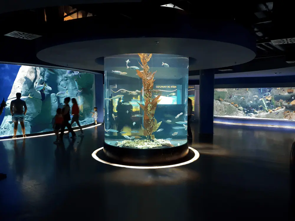 Istanbul Aquarium