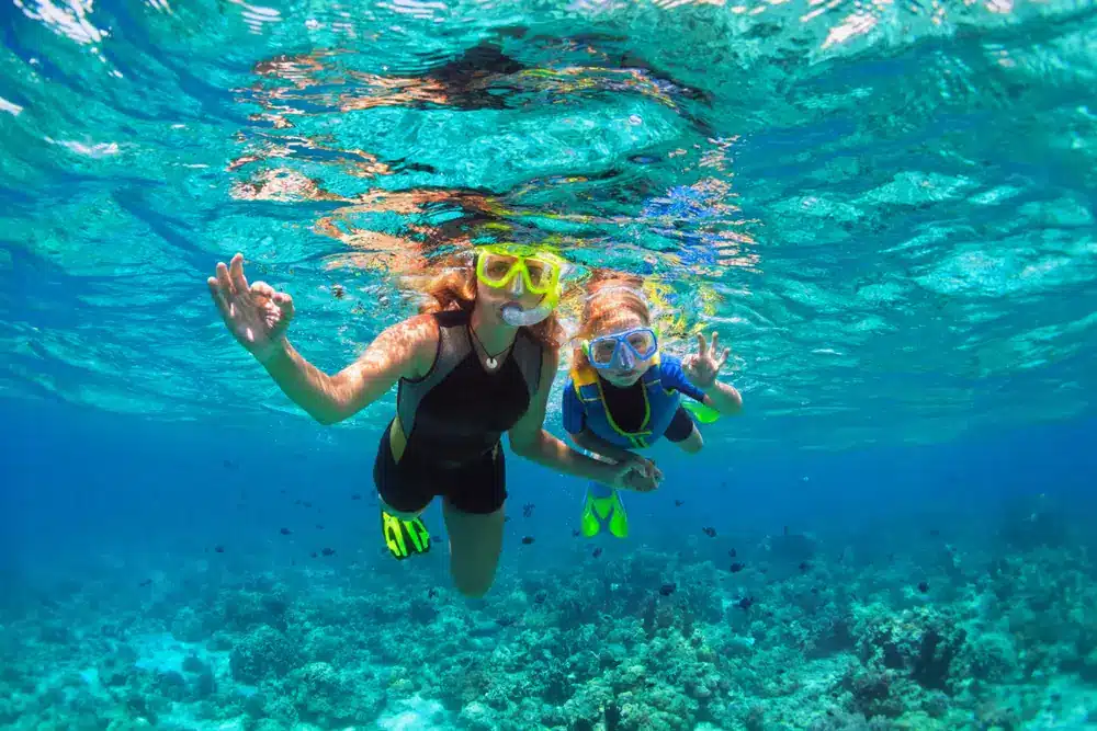 Snorkeling Etiquette and Environmental Responsibility