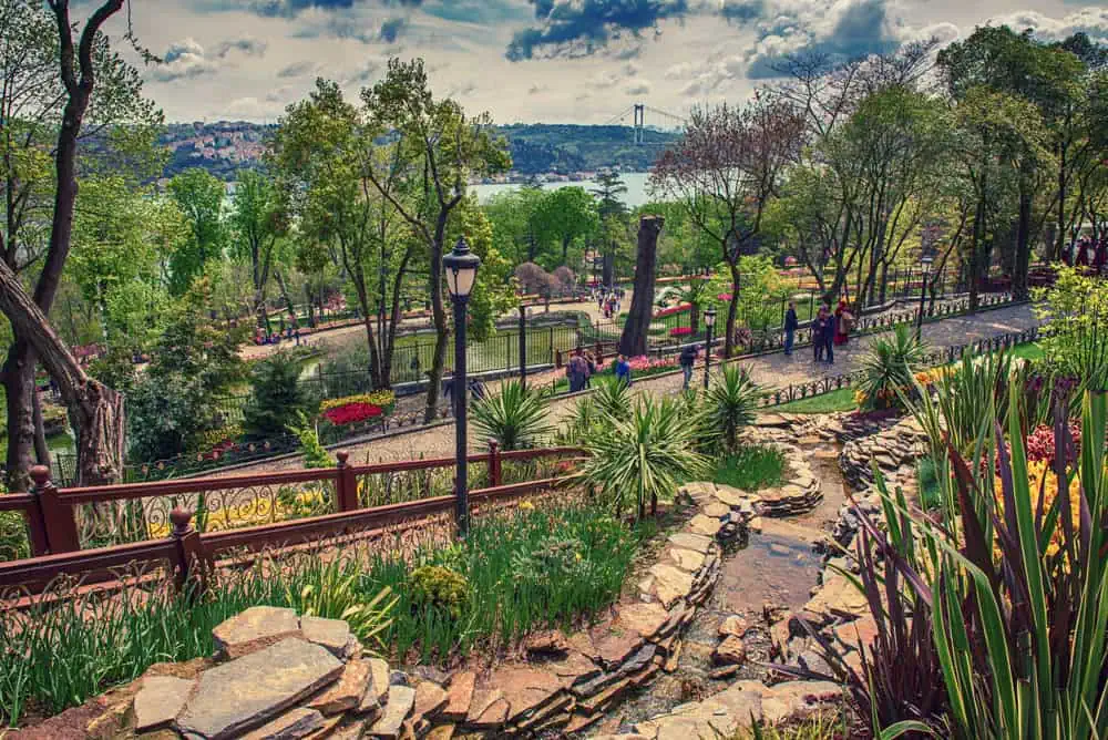 Nearby Attractions to Explore